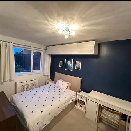 Room In Londra Dış mekan fotoğraf